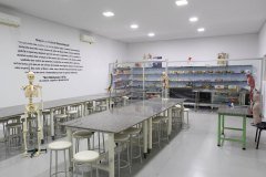 UniGoyazes-Morfofuncional_Humana