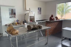 UniGoyazes-Taxidermia